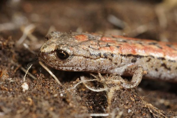 How to Mitigate Noise Pollution in UK Mixed-Use Real Estate Developments?